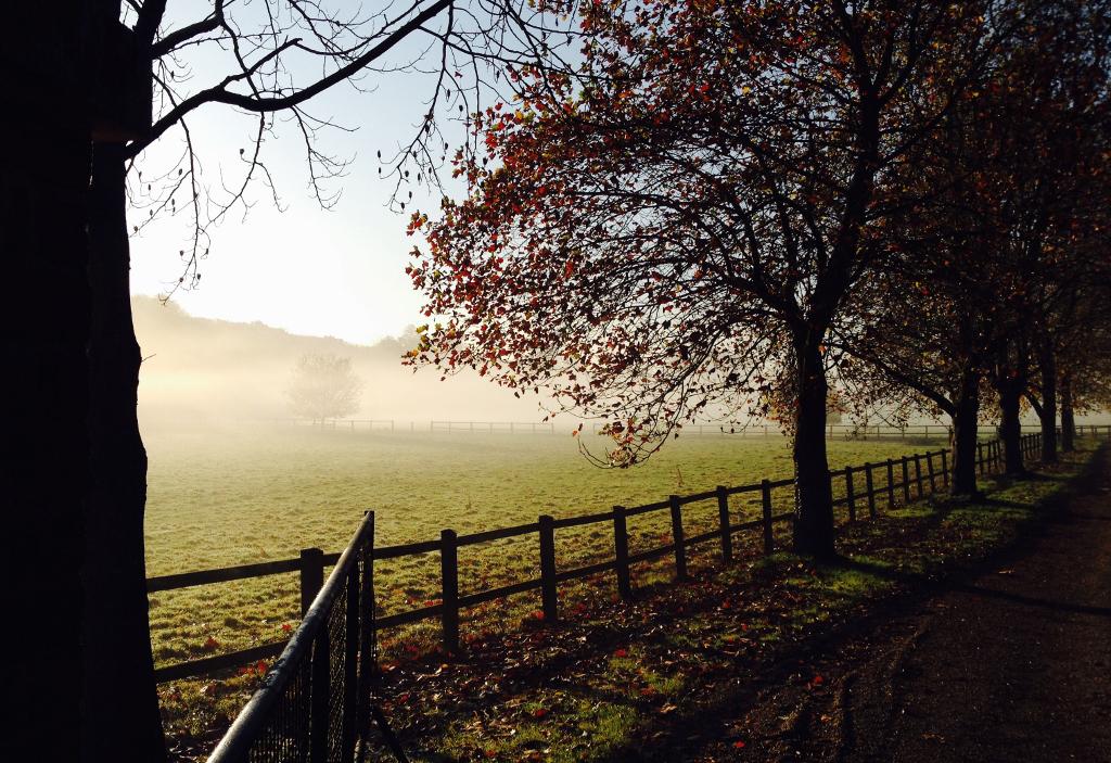 Mist over fields